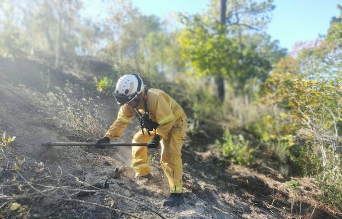 Exhorta Gobierno de NL evitar fogatas por alto riesgo de incendios forestales