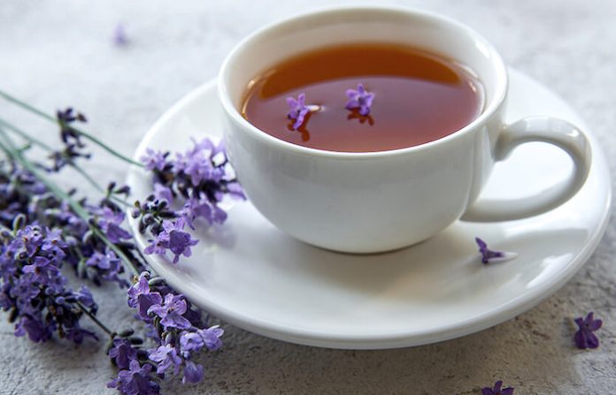 Nuevo estudio revela que el té ralentiza el proceso de envejecimiento en humanos