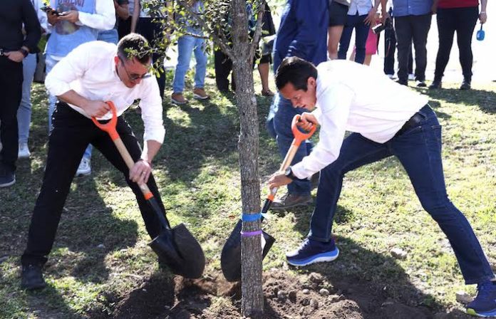 Dona Carrillo encinos a Colosio tras derrota de Tigres