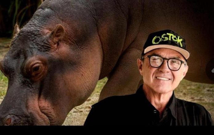 Continúa la espera de los permisos y para la translocación de 74 hipopótamos de Pablo Escobar a México y la India