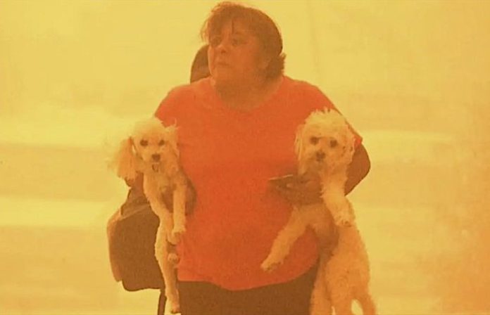 México brindará ayuda a Chile para combatir los incendios forestales