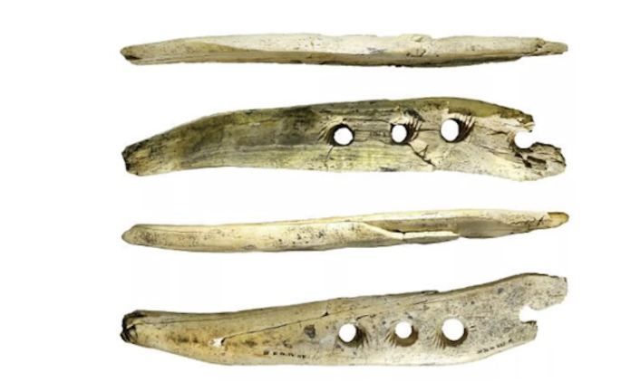Descubren para qué se usaba la misteriosa ‘varita mágica’ de la Edad de Hielo