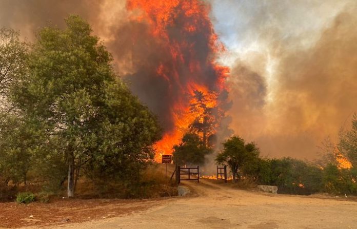 Bomberos de Chile controlan incendios forestales y dan por superada emergencia