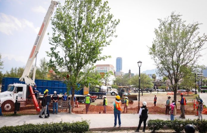 Reforesta Monterrey la Alameda con al menos 384 árboles