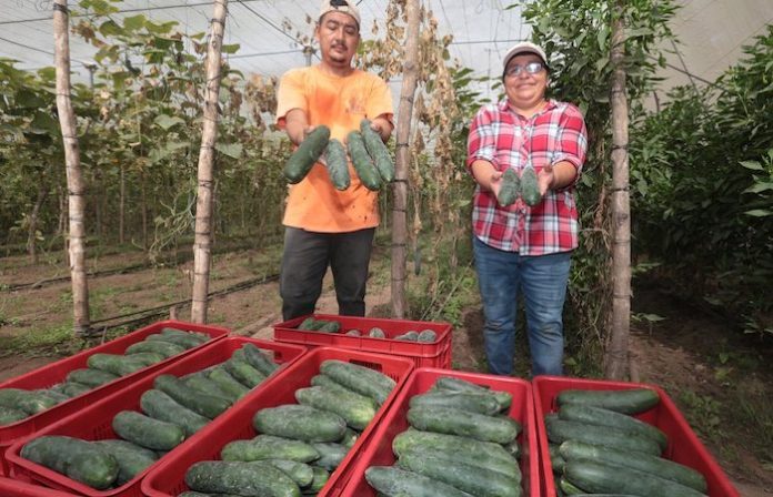 EU destina más de 387 mdp a programas sociales para atender el crimen en México