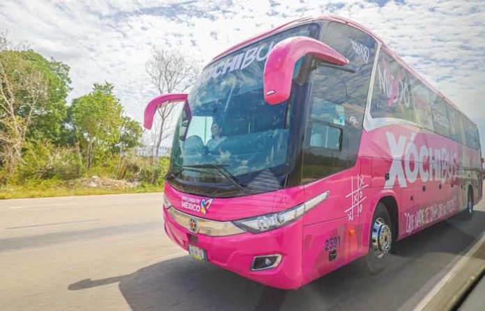 Presenta Xóchitl Gálvez Xóchibus