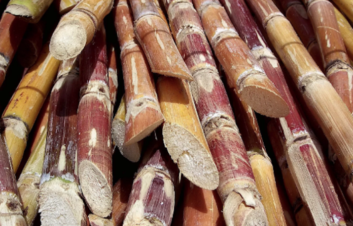 Productores azucareros de EU reclaman un boicot de las importaciones mexicanas