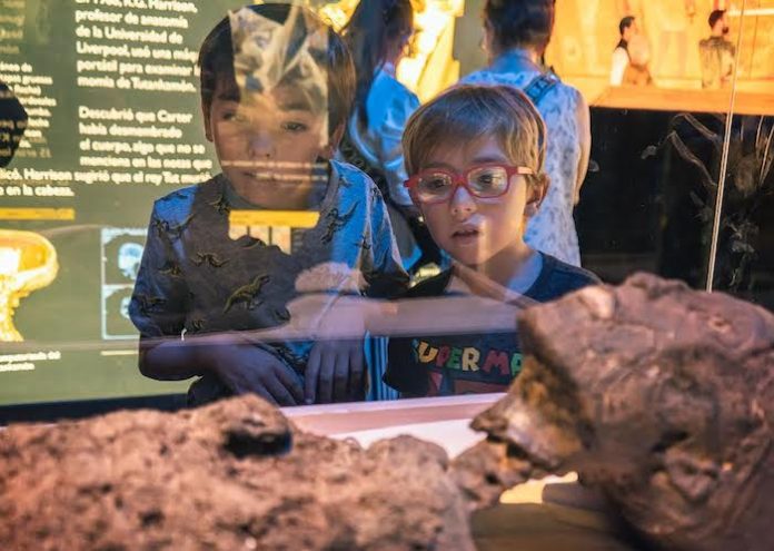 Últimos días para ver “Más allá de Tutankamón” en la CDMX