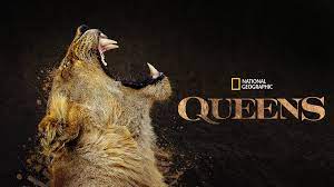 “Queens” la nueva docuserie de líderes femeninas más impresionantes del reino animal