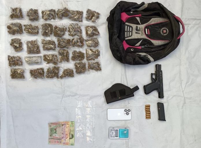 Fuerza Civil detiene a presunto criminal