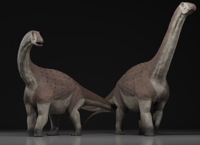 Paleontólogos hallan restos de nueva especie de titanosaurio en sur argentino