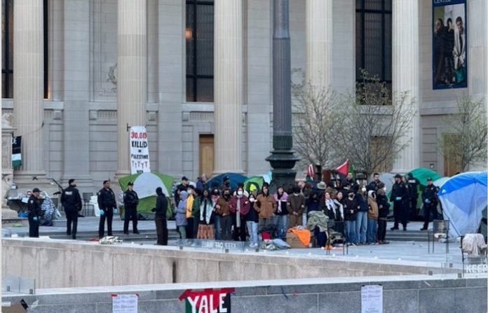 Video: La policía de EU arresta a decenas de estudiantes de Yale en protestas pro Palestina