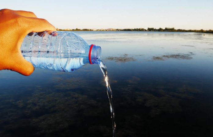ICM resalta la importancia de gobiernos estatales y municipales frente al cambio climático, en el marco de las elecciones 2024