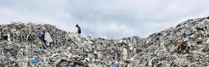 Greenpeace pide a partidos políticos frenar su “basura electoral”