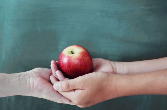 ¡Manzanas, el snack perfecto para un regreso a clases nutritivas!