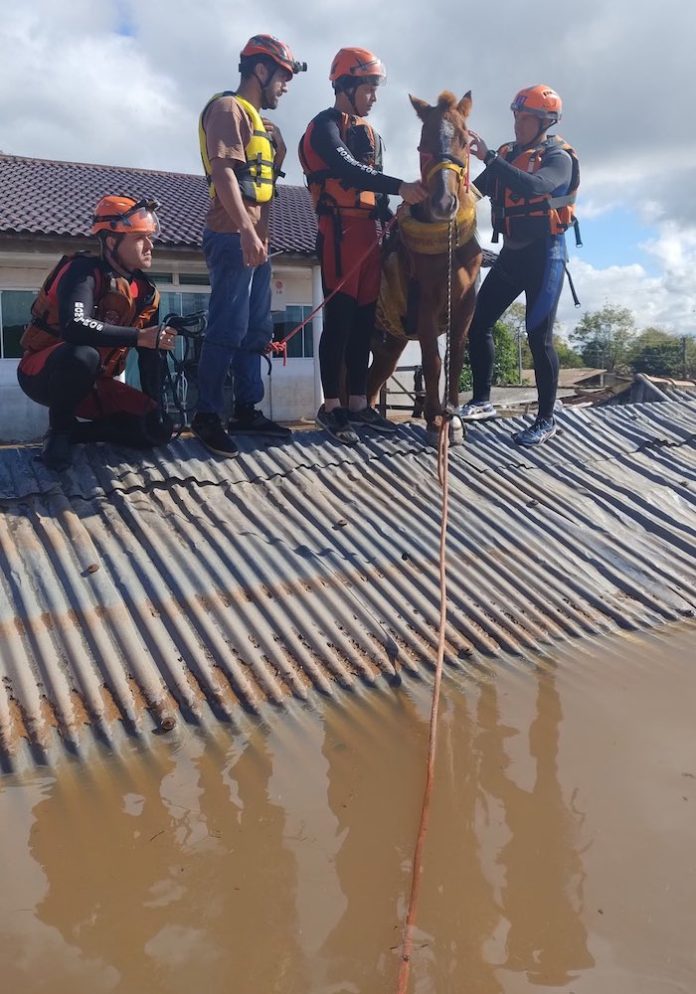 Sube a 143 el número de muertos por las lluvias en el sur de Brasil