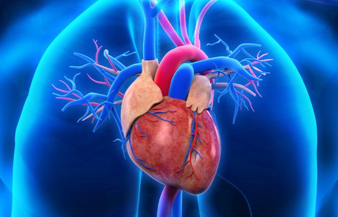 Las enfermedades cardiovasculares causan unas 10.000 muertes diarias, según la OMS