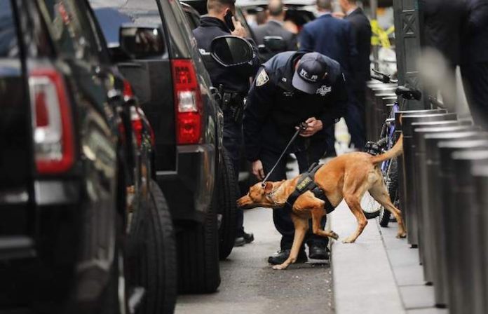 Jefe de Seguridad de EU indica que terrorismo extranjero resurgió como la mayor amenaza