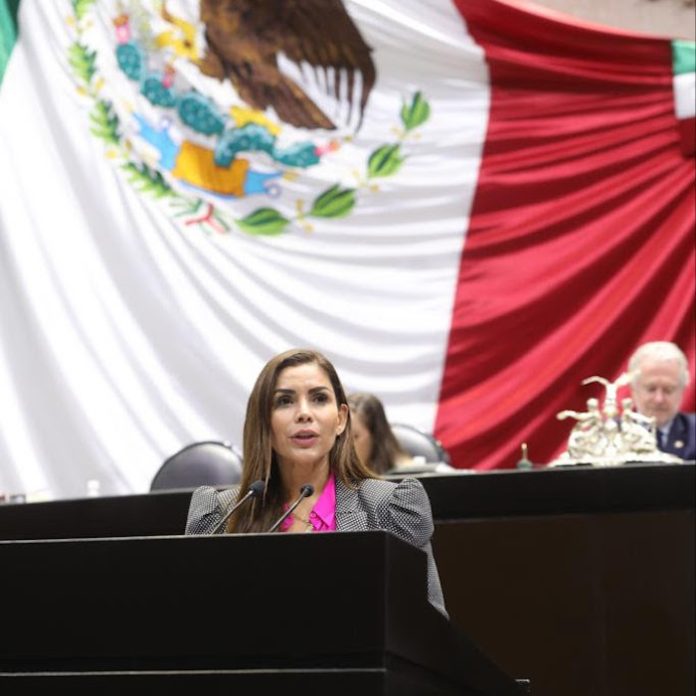 Impulsa Karina Barrón iniciativa para erradicar la desigualdad social