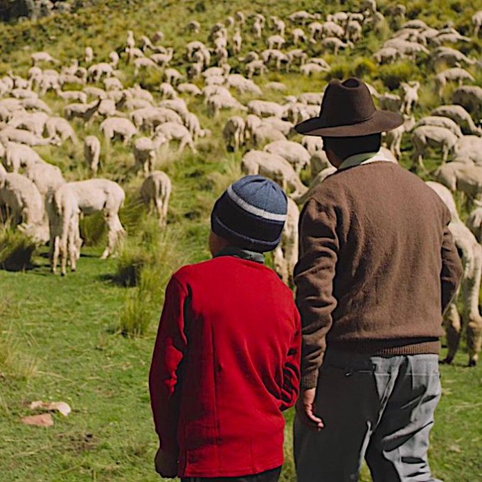 Arqueólogos hallan tumbas con ofrendas de 3.800 años en norte de Perú