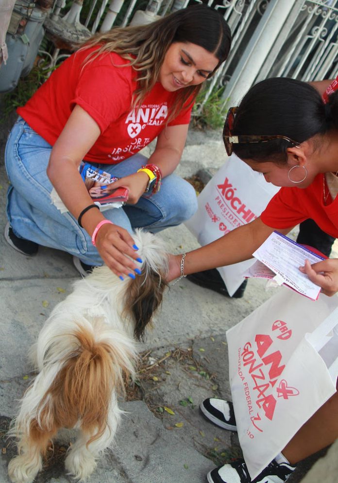 Ana González buscará impulsar la Primera Ley Federal de Bienestar Animal