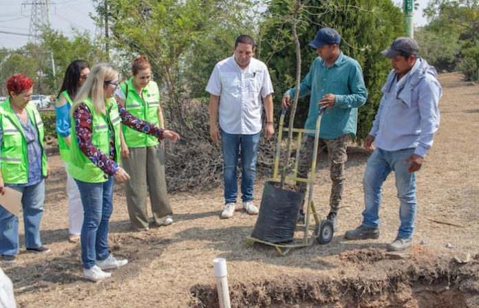 Con agua tratada Arturo Benavides reverdecerá Guadalupe