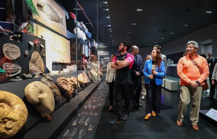 Asume Estado operación del Museo La Milarca