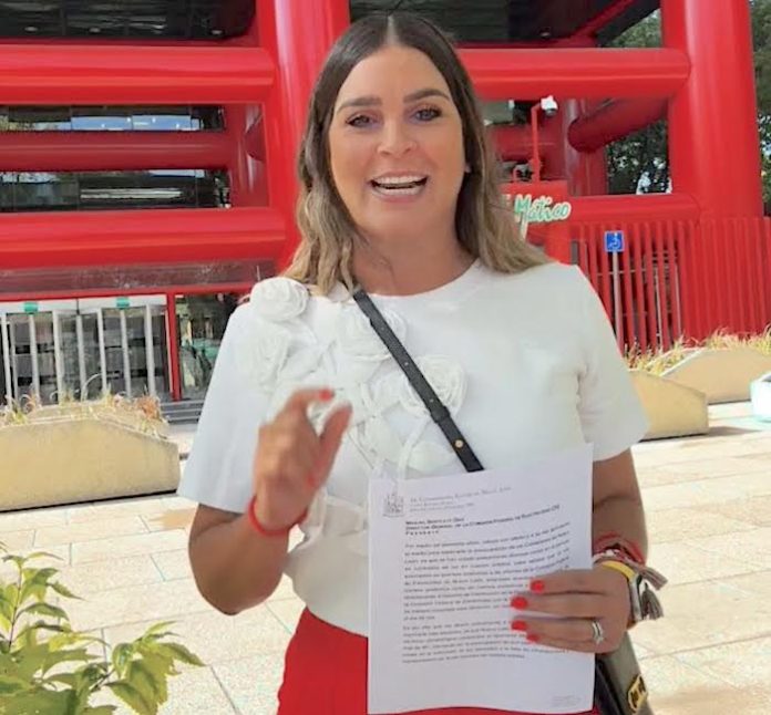 Llama Ana González a CFE garantizar el suministro de luz en los hogares