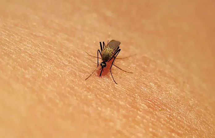 Suben a 7 los infectados con fiebre del Nilo Occidental en Israel