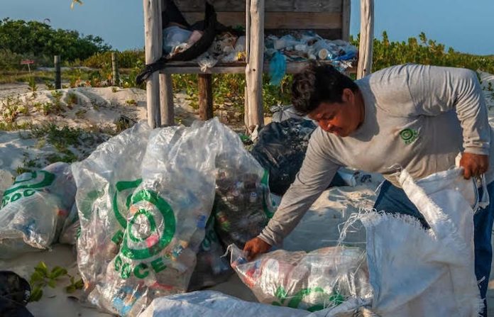 World Economic Forum reconoce a ECOCE como caso de éxito