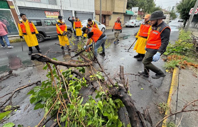 Tras tormenta, atiende Limpialeón reportes ciudadanos
