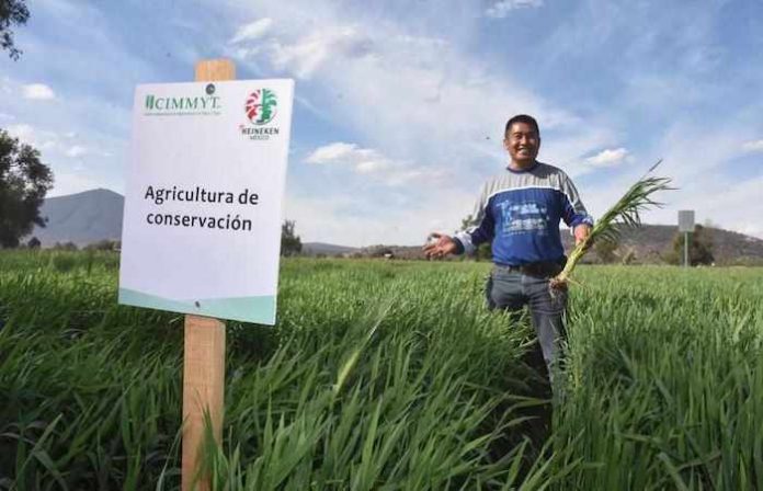 Certificación para “Cultivar un México Mejor”