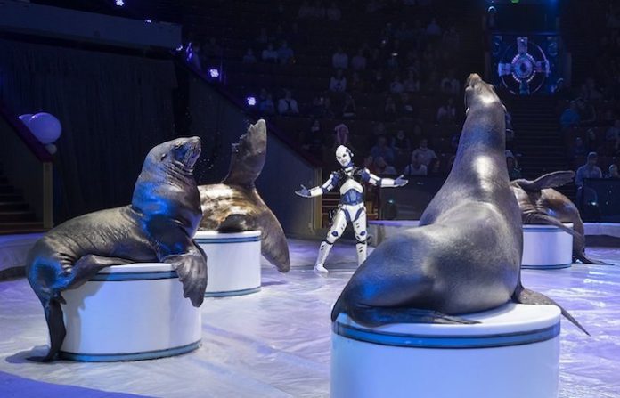 La Unión de Artistas del Circo rusa abrirá en 2025 el primer Museo de Arte Circense