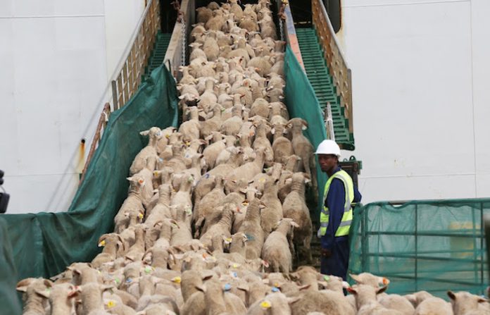Trump ordena retirar el arancel del 40% a ciertos bienes de Brasil