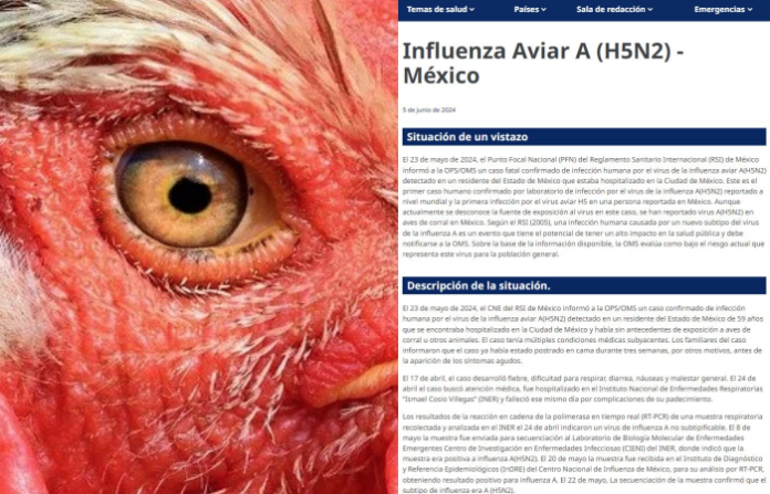 México registra primer caso mortal de gripe aviar en humanos