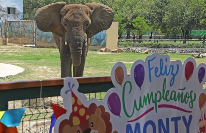 Festeja Monty su cumpleaños 18