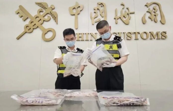 Video: Detienen a hombre que intentaba importar a China más de 100 serpientes en sus pantalones