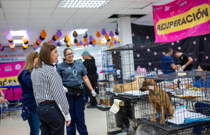 Promueve Guadalupe esterilización canina