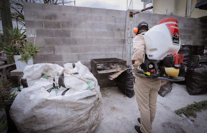 Salud refuerza las acciones contra el dengue en Monterrey