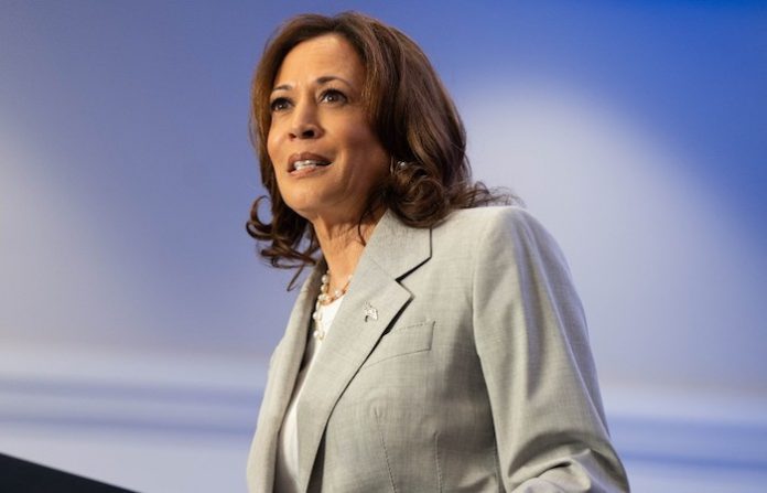 Vicepresidenta Harris declara que intenta ganar la nominación del Partido Demócrata