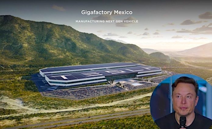 Musk posterga inversión de Tesla en NL hasta después de elecciones en EU