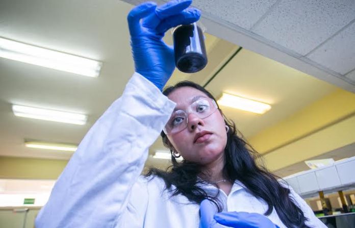 Desarrollan habilidades científicas en verano de la investigación UANL