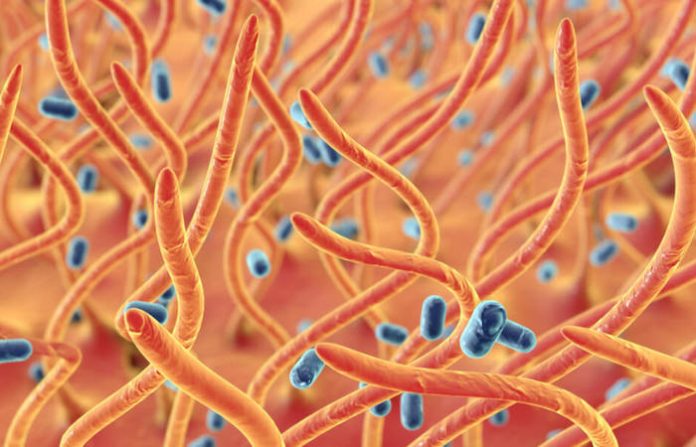 La República Checa sigue registrando la mayor incidencia de tos ferina