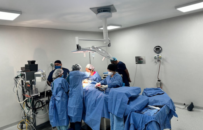 IMSS Nuevo León realiza 185 trasplantes en el primer semestre de 2025