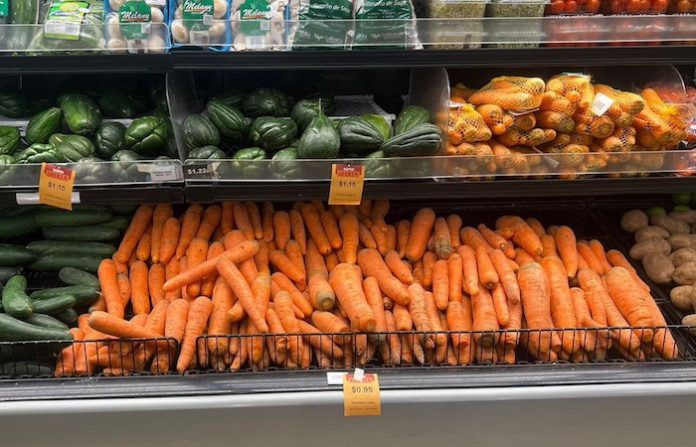 Gobierno de El Salvador realiza amplia operación de control de precios