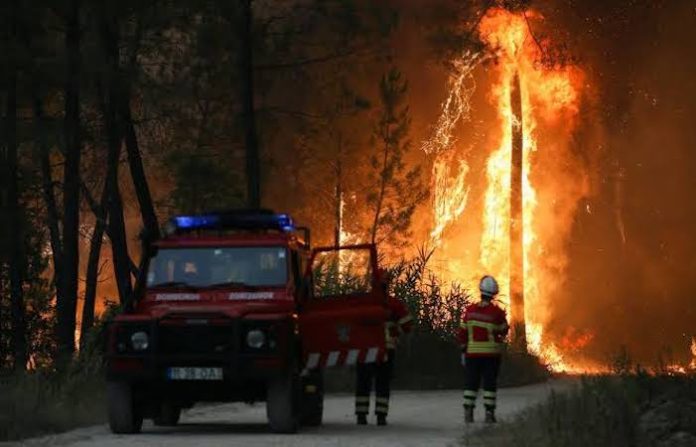 Más de 60 bomberos de Chequia parten a Grecia para ayudar en la extinción de incendios