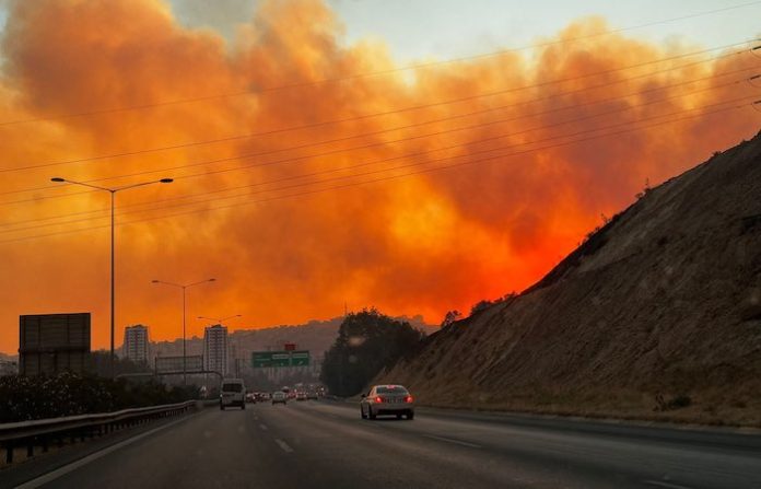 Unas 3.000 personas apagan incendios forestales en el oeste de Turquía