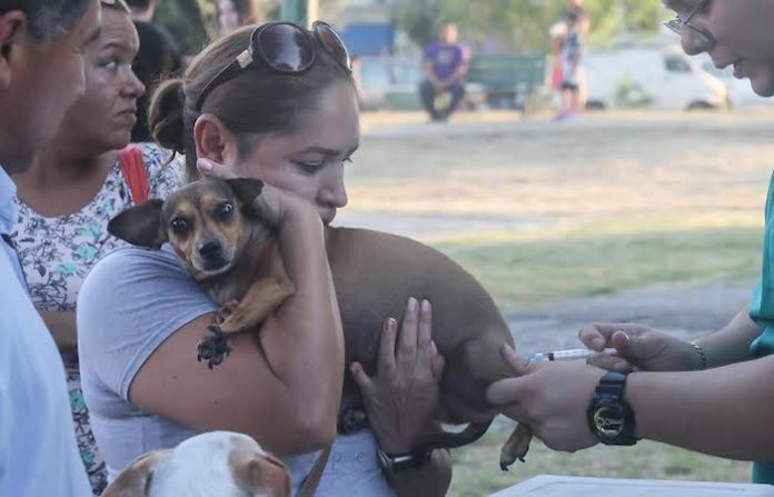 Apodaca esteriliza 6,500 animales en dos años y refuerza campaña de bienestar animal
