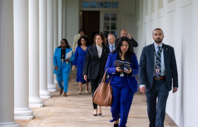 Harris obtiene los votos suficientes para ser oficialmente candidata presidencial en EU