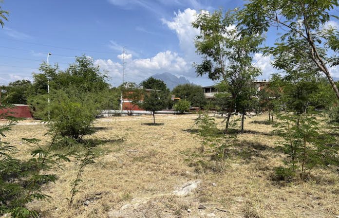 Apoya Adrián de la Garza en la limpieza de escuelas